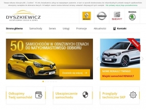 Pojazdy osobowe dla klienta i firmy.