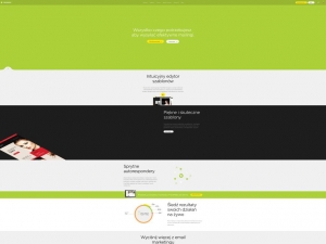 Co to landing page?